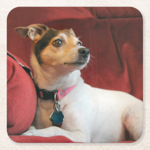 Dessous-de-verre Carré En Papier Classique