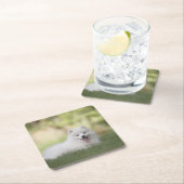 Dessous-de-verre Carré En Papier Clé blanche souple Chiot (En situation)