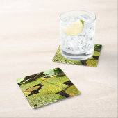 Dessous-de-verre Carré En Papier Coaster de Lily Pads (En situation)