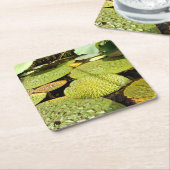 Dessous-de-verre Carré En Papier Coaster de Lily Pads (Incliné)