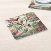 Dessous-de-verre Carré En Papier Colibri, Trochilidae Kolibris par Ernst Haeckel (Incliné)