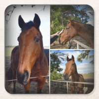 Collage photo de cheval Brown, Dessous de verre en