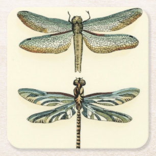 Dessous-de-verre Carré En Papier Collection de libellule par Chariklia Zarris