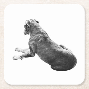 Dessous-de-verre Carré En Papier Compagnon de table calme