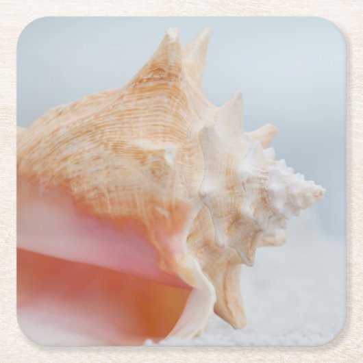 Dessous-de-verre Carré En Papier Conque Shell | la Floride (Devant)