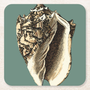 Dessous-de-verre Carré En Papier Conque turquoise Shell