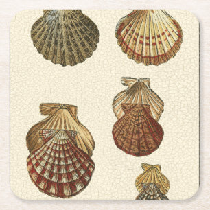 Dessous-de-verre Carré En Papier Coquilles antiques crépitées