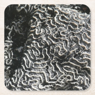 Dessous-de-verre Carré En Papier Corail noir et blanc I Abstrait Nature Photo