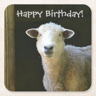 Dessous-de-verre Carré En Papier Country Sheep Party