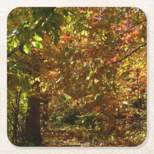 Dessous-de-verre Carré En Papier Couvert de feuilles d'automne II Photographie d'au