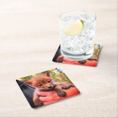 Dessous-de-verre Carré En Papier Coyote Cub (En situation)