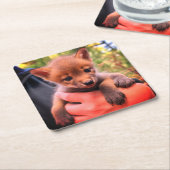 Dessous-de-verre Carré En Papier Coyote Cub (Incliné)