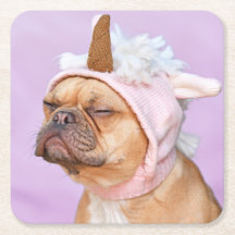 Créez Votre Propre Photo de Compagnon à Quatre Pat