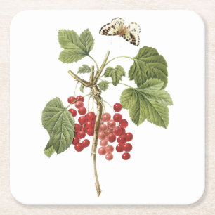 Dessous-de-verre Carré En Papier currant rouge (Ribes rubrum) par Redouté