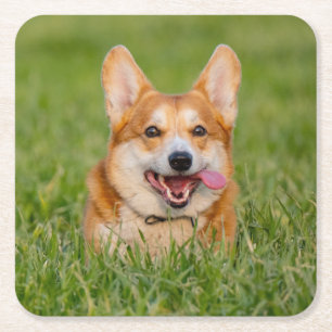 Dessous-de-verre Carré En Papier Cute Corgi Jouer dans l'herbe