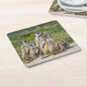 Dessous-de-verre Carré En Papier Cute Meerkats (Incliné)