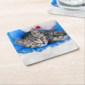 Dessous-de-verre Carré En Papier Cutest Baby Animals | Tabby Kitten in Play Tunnel (Incliné)