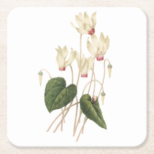 Dessous-de-verre Carré En Papier cyclamen(Cyclamen sp.) par Redouté