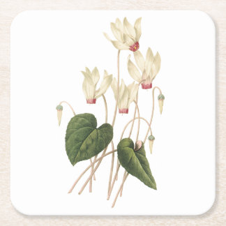 Dessous-de-verre Carré En Papier cyclamen(Cyclamen sp.) par Redouté