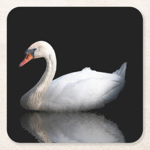 Dessous-de-verre Carré En Papier Cygne blanc sur noir