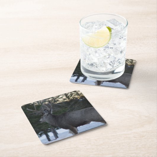 Dessous-de-verre Carré En Papier D8 Mule Deer Buck (En situation)