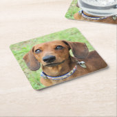 Dessous-de-verre Carré En Papier Dachshund (Incliné)