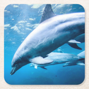 Dessous-de-verre Carré En Papier Dauphins sous-marins