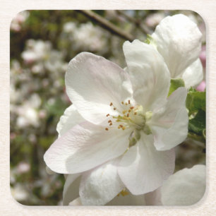Dessous-de-verre Carré En Papier Dessous de verre Apple Blossom