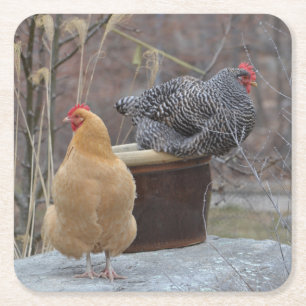 Dessous-de-verre Carré En Papier Dessous de verre de la fête des poulets contaminés