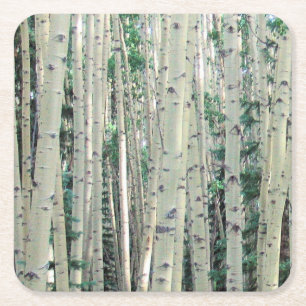 Dessous-de-verre Carré En Papier Dessous de verre de la forêt d'Aspen du Colorado