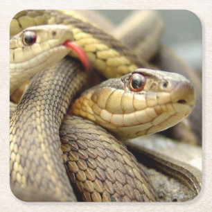 Dessous-de-verre Carré En Papier Dessous de verre de serpents très Cool