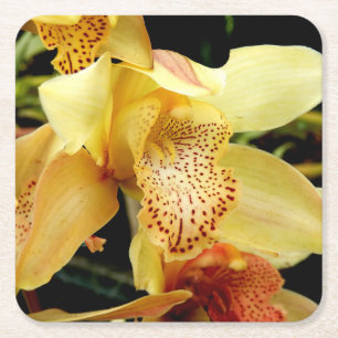 Dessous-de-verre Carré En Papier Dessous de verre en papier orchidée jaune pâle