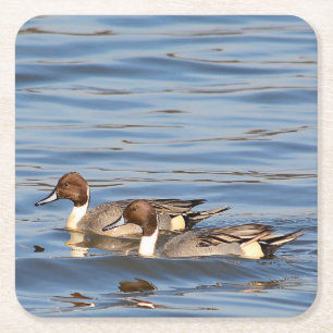 Dessous-de-verre Carré En Papier Dessous de verre en papier pour canards à intail