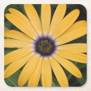 Dessous-de-verre Carré En Papier Dessous de verre Jaune Daisy Party