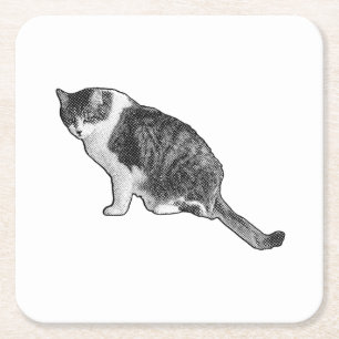 Dessous-de-verre Carré En Papier Dessous de verre Manga Chat apporte conversation e
