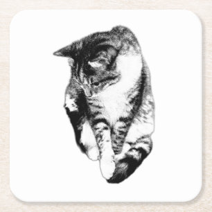 Dessous-de-verre Carré En Papier Dessous de verre monochrome Tabby Cat