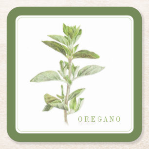 Dessous-de-verre Carré En Papier DESSOUS DE VERRE papier Carré OREGANO FRAIS (+text