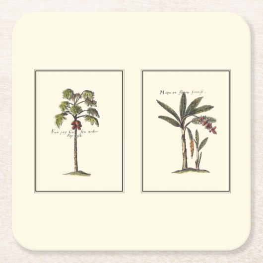 Dessous-de-verre Carré En Papier Deux mini palmiers encadrés (Devant)