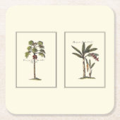 Dessous-de-verre Carré En Papier Deux mini palmiers encadrés (Devant)