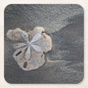 Dessous-de-verre Carré En Papier Dollar des sables sur le sable