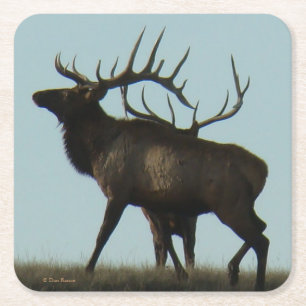 Dessous-de-verre Carré En Papier E 14 Big Bull Elk Silhouette