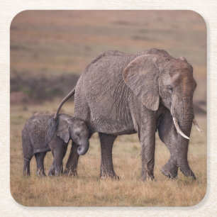 Dessous-de-verre Carré En Papier Éléphant d'Afrique avec bébé
