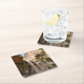 Dessous-de-verre Carré En Papier Emerald Pool Falls I du parc national Zion (En situation)