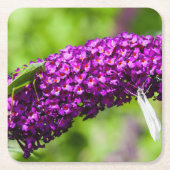 Dessous-de-verre Carré En Papier énergie katydone (Devant)