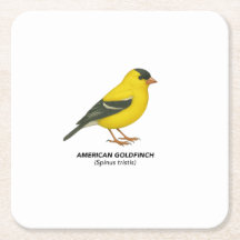 Ensemble de dessous de verre