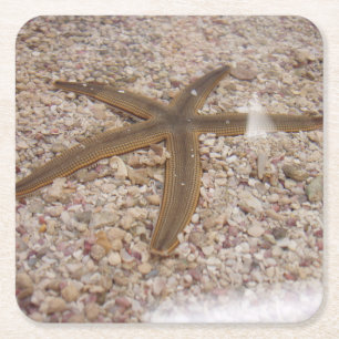 Dessous-de-verre Carré En Papier Ensemble de Dessous de verre Starfish