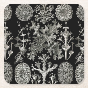Dessous-de-verre Carré En Papier Ernst Haeckel Lichens