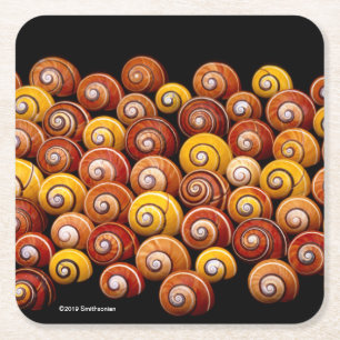 Dessous-de-verre Carré En Papier Escargots cubains d'arbre