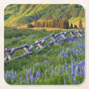 Dessous-de-verre Carré En Papier États-Unis, Colorado. Lupins et clôture en rails f