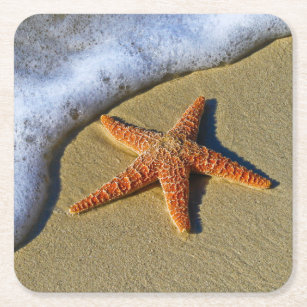 Dessous-de-verre Carré En Papier Étoiles de mer simples sur la plage